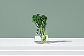 Crisp broccolini stalks, also known as Tenderstem and baby broccoli, are displayed in a clear glass jar filled with water against a pale green background.