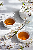 Two cups of warm tea accompanied by the delicate white flowers of cherry blossoms, casting soft shadows on a textured surface