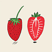 A charmingly textured illustration showcasing a vibrant whole strawberry next to its halved counterpart, revealing the inner details.