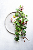 Top view of sophisticated table setting featuring feijoa branches adorned with flowers and lush green leaves, arranged artistically on a simple ceramic plate over a textured white backdrop