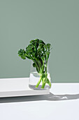 Frische Broccolini-Stängel, auch bekannt als Tenderstem oder Baby-Broccoli, werden in einem mit Wasser gefüllten Klarglasgefäß präsentiert, das in einem modernen, minimalistischen Rahmen mit sanfter Beleuchtung und einem Schattenspiel in Szene gesetzt wird.