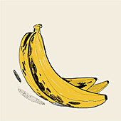 A stylized hand-drawn illustration of a ripe banana with distinctive textures, displaying shades of yellow and black spots.