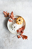 Ein wunderschön arrangiertes herbstliches Flatlay mit einem Keramikteller mit weißen und orangefarbenen Minikürbissen, umgeben von getrockneten roten Ahornblättern auf einem strukturierten grauen Hintergrund