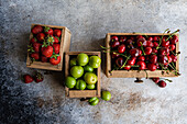 Drei alte Holzkisten präsentieren eine Auswahl frischer Bio-Beeren - grüne Pflaumen, Süßkirschen und Erdbeeren - auf einer rustikalen grauen Oberfläche