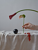 A creative abstract composition featuring a hand delicately positioning a calla lily flower stem alongside a scattered bunch of red currants and a dark spherical object on a softly draped white cloth