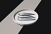 Three fresh anchovies line up neatly on a white plate set against a dual-tone background, creating a striking visual effect