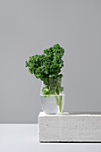 A minimalist composition featuring fresh green kale leaves in a clear glass of water, set on a white block against a light gray background