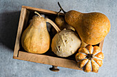 A rustic autumnal flat lay display featuring pumpkins, gourds arranged in a vintage wooden tray on a textured gray surface