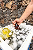 Cropped unrecognizable person reaches into a cooler to pick a cold beer amidst bottles and ice. The diverse beverage selection highlights leisure and refreshment.