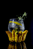 A refreshing gin tonic cocktail adorned with a twist of lemon zest and a sprig of fresh green herb, cradled by a vibrant Buddha hand fruit on a dark background