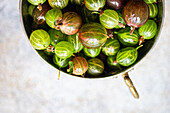 Frische, organische Stachelbeeren mit verschiedenen Grün- und Violetttönen in einer rustikalen Metallschüssel auf einer strukturierten Oberfläche von oben.