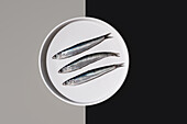 From above of three silvery fresh anchovies aligned on a white round plate, artfully divided by a yin yang background of black and gray