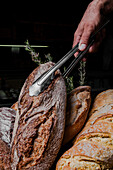 A variety of freshly baked sourdough breads with a crisp crust, showcased by a cropped unrecognizable hand holding tongs.