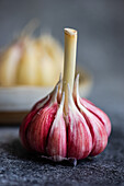 A macro shot captures the unique details of a fresh garlic bulb with vivid red hues and tender cloves, set against a soft gray textured backdrop, highlighting its natural beauty