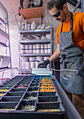 A man in an orange t-shirt and striped apron adjusts lighting over trays of microgreens in a vertical farming setup, showcasing a modern agricultural technique inside a controlled greenhouse environment