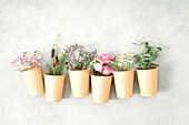 Paper cups with spring flowers, zero-waste concept, flat lay banner