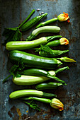 Frische Zucchini und Zucchiniblüten auf einem grauen Metallhintergrund