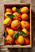 Navel Oranges and Lemons in a Wooden Crate on Burlap