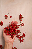 Red currants on the palm of a hand