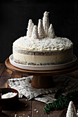 Coconut winter wonderland layer cake