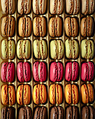 Multicoloured, store-bought macarons