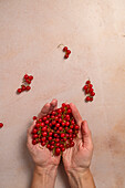 A Handful of Red Currants on Beige Backdrop