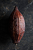 Cacao pod on black background