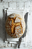 Freshly baked wheat bread on a white wooden background