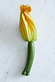 Fresh home-grown zucchini flowers on a white background