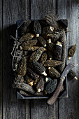 Black morels in a market box on a grey wooden background