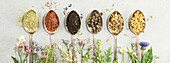 Different types of tea in vintage spoons. and Healing herbs Flat lay, top view on concrete background. Matcha, rooibos, black, green, herbal mix and camomile tea. Herbal medicine, alternative treatment, natural remedy