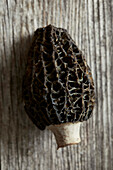 Close up black morels on a gray wooden background