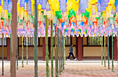 Laternen am Bulguksa-Tempel, UNESCO-Welterbe, Gyeongju, Südkorea, Asien