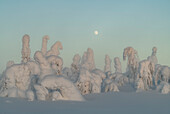 Full moon rising over snow covered winter landscape at twilight, tykky, Kuntivaara Fell, Finland, Europe