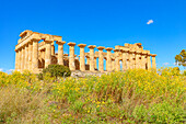 Temple of Hera (Temple E), Selinunte Archaeological Park, Selinunte, Trapani district, Sicily, Italy, Mediterranean, Europe