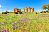 Tempel der Hera (Tempel E), Archäologischer Park von Selinunte, Selinunte, Bezirk Trapani, Sizilien, Italien, Mittelmeerraum, Europa