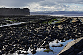 The intertidal zone of the Quantock Coast, containing an abundance of geology and wildlife, a Site of Special Scientific Interest (SSSI), West Somerset, England, United Kingdom, Europe