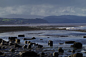 The intertidal zone of the Quantock Coast, containing an abundance of geology and wildlife, a Site of Special Scientific Interest (SSSI), West Somerset, England, United Kingdom, Europe