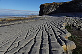 The intertidal zone of the Quantock Coast, containing an abundance of geology and wildlife, a Site of Special Scientific Interest (SSSI), West Somerset, England, United Kingdom, Europe