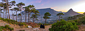 View of couple and Table Mountain from Signal Hill at sunset, Cape Town, Western Cape, South Africa, Africa