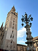 Blick auf die Giralda (Glockenturm) der römisch-katholischen Kathedrale St. Maria vom See (Kathedrale von Sevilla), UNESCO-Welterbe, Sevilla, Andalusien, Spanien, Europa