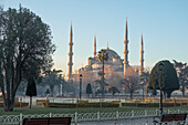 Außenansicht der Sultanahmet Camii (Blaue Moschee) bei Sonnenaufgang, UNESCO-Welterbe, Istanbul, Türkei, Europa