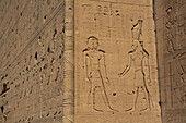 Außenreliefs, Hathor-Tempel, Dendera, Qena, Ägypten, Nordafrika, Afrika