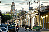 Street scene, Granada, Nicaragua. Central America