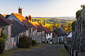 Gold Hill during sunset in late summer, Shaftesbury, Dorset, England, United Kingdom, Europe