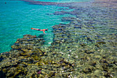 View of man snorkeling in the Red Sea near Sahl Hasheesh, Sahl Hasheesh, Hurghada, Red Sea Governorate, Egypt, North Africa, Africa