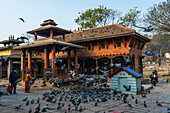 Indrayani Temple lit by sunlight and many pigeons flying in front of the temple walls, Kathmandu, Nepal, Asia