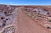 The paved trail that leads to the historic Agate House in Petrified Forest National Park, Arizona, United States of America, North America