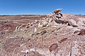 Ein Aussichtspunkt an der Westseite des Giant Logs Trail im Petrified Forest National Park, Arizona, Vereinigte Staaten von Amerika, Nordamerika