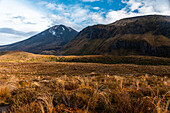 Bunte Buschfelder vor dem Ngauruhoe-Vulkan und Pukekaikiore im Tongariro-Nationalpark, UNESCO-Welterbe, Nordinsel, Neuseeland, Pazifik